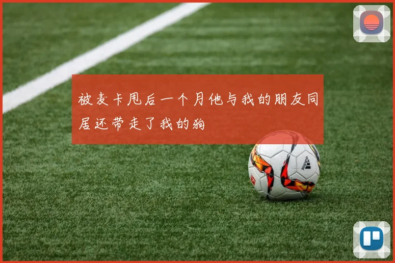 被麦卡甩后一个月他与我的朋友同居还带走了我的狗