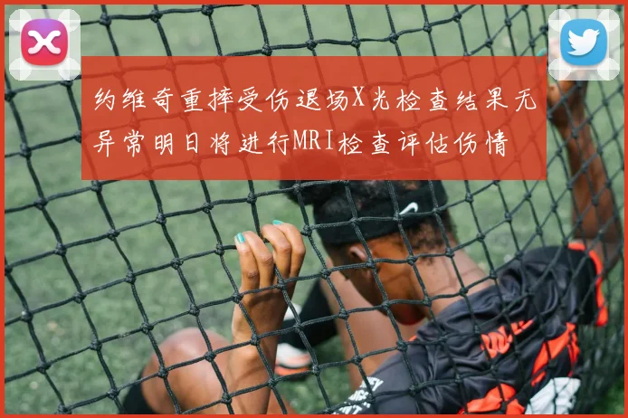 约维奇重摔受伤退场X光检查结果无异常明日将进行MRI检查评估伤情